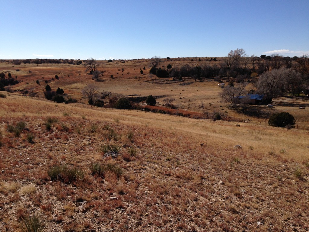 Open grassland and the creek valley at DeHaven Ranch