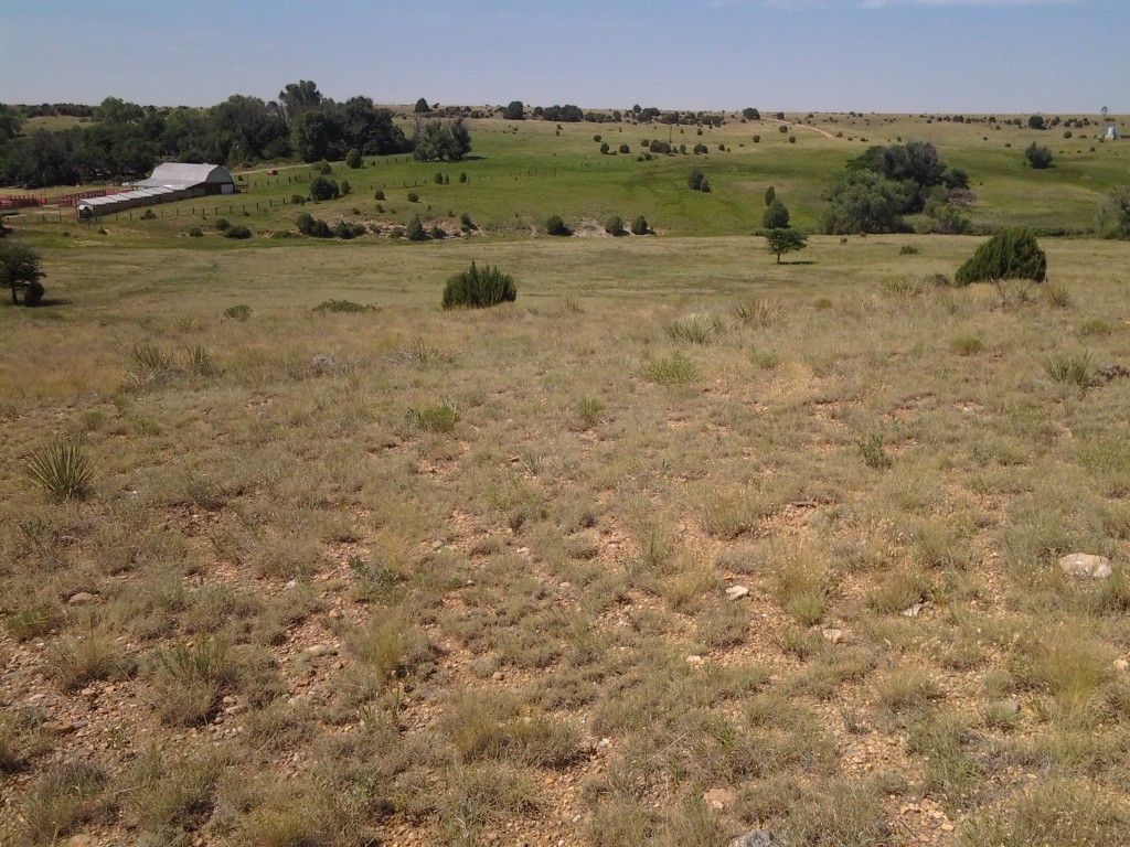 Pastures and ranch buildings seen from a grassy hillside